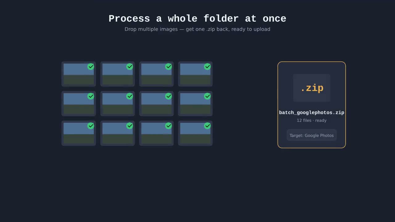 Demo: Process a whole folder at once