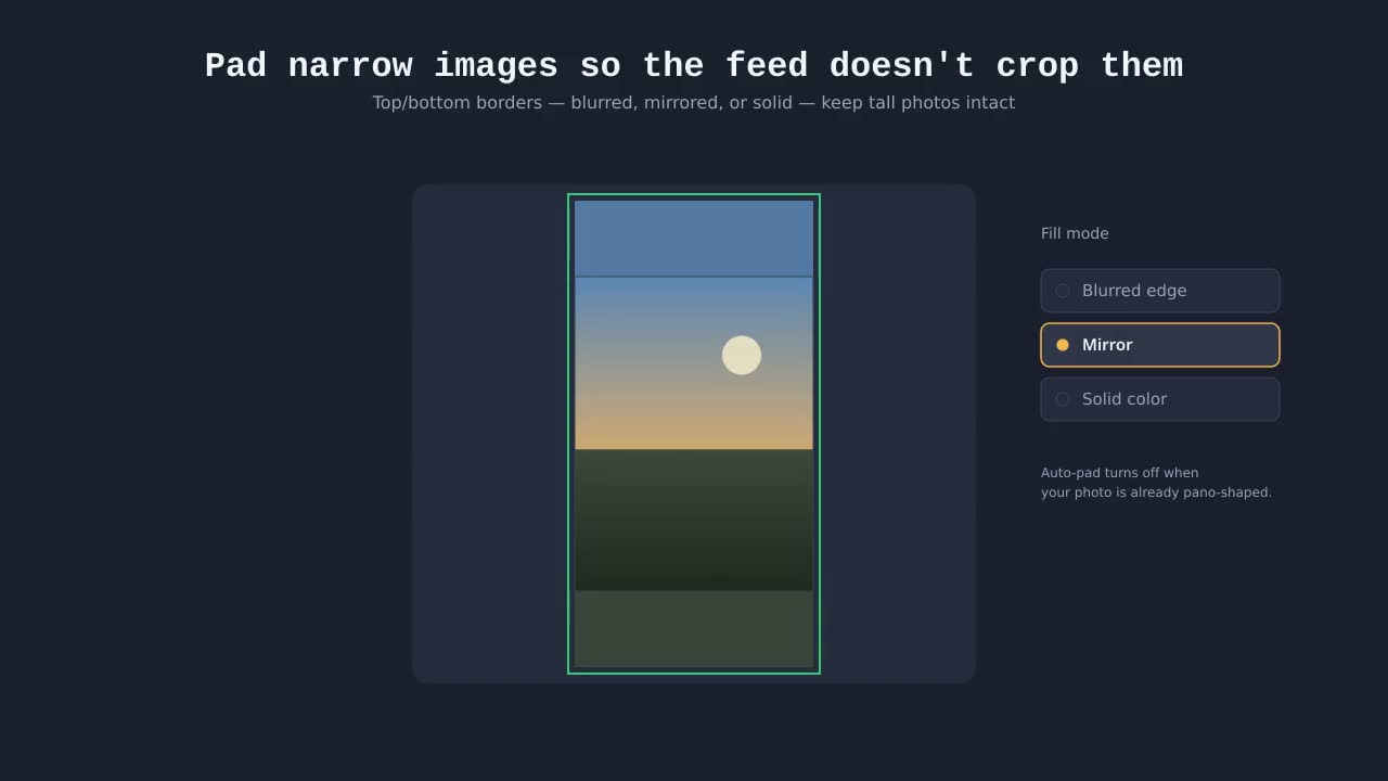 Demo: Pad narrow images so the feed doesn't crop them